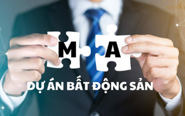 M&A bất động sản sôi động trở lại, có 11 thương vụ đáng chú ý trong 9 tháng đầu năm 2024