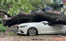 Một doanh nghiệp bảo hiểm lớn có thể giảm kế hoạch lãi năm nay do ảnh hưởng của cơn bão số 3 Yagi