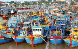 EC chưa chốt ngày đến Việt Nam thanh tra, xem xét gỡ "thẻ vàng" IUU