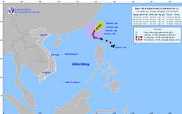 Bão số 5 giật cấp 16, dự báo hướng đi mới nhất