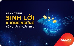 Trải nghiệm hành trình sinh lời không ngừng cùng tài khoản MSB