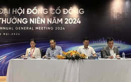 Vừa báo lãi trở lại trong quý III/2024, Chứng khoán Apec bị xử phạt