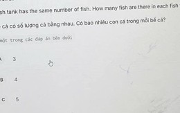 Bài toán "gây lú" nhất hiện tại: "Mỗi bể có số lượng cá bằng nhau, hỏi có bao nhiêu cá trong mỗi bể?"