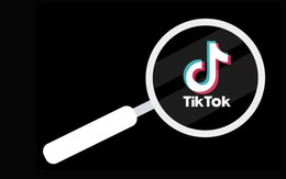 Mẹo tìm kiếm video TikTok cực kỳ đơn giản