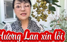 Danh ca Hương Lan nhận "lỗi lầm to lớn", xin khán giả tha thứ