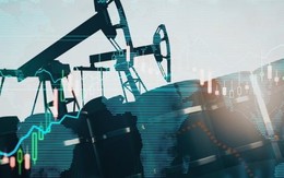 Giữa lúc Trung Đông căng như dây đàn, cả thế giới lo giá dầu tăng phi mã – ‘anh cả’ của OPEC lại tung cảnh báo khó tin: ‘giá dầu thô có thể về 50 USD/thùng nếu…’