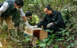 Về Nhà - Hành trình “tái hoang dã” đầy cảm xúc ở Vườn Quốc gia Cúc Phương