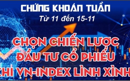 Chứng khoán tuần tới (từ 11 đến 15-11): Chọn chiến lược đầu tư cổ phiếu khi VN-Index lình xình?