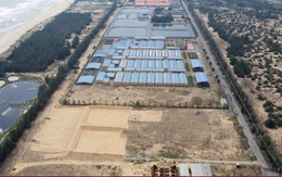 Lãng phí khu sản xuất và kiểm định giống thủy sản gần 40 tỷ đồng ở Quảng Nam