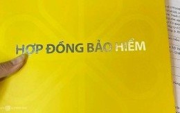 Người phụ nữ nghe lời giới thiệu chi 200 triệu mua gói bảo hiểm nhận lãi hàng tháng, bị lừa đảo toàn bộ số tiền