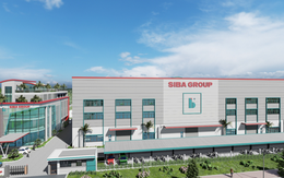 Siba Group phân phối gần 2 triệu cổ phiếu 'ế' cho 3 cá nhân