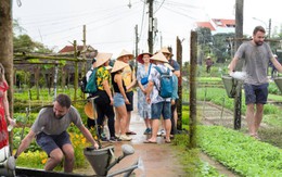 Có gì tại làng rau 400 tuổi ở Hội An vừa trở thành Làng du lịch tốt nhất thế giới?