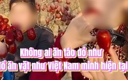 "Không ai ăn táo đỏ như đồ ăn vặt như Việt Nam mình hiện tại", phát ngôn của TikToker khiến MXH bùng nổ tranh cãi