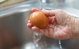 Có nên rửa sạch trứng trước khi bỏ vào tủ lạnh? Có nên rửa sạch trứng trước khi bỏ vào tủ lạnh?