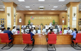 Chuyển tiền Kiều hối Ria về Việt Nam tại Agribank – phí 0 đồng