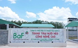 BAF của ông Trương Sỹ Bá vừa thâu tóm loạt doanh nghiệp chăn nuôi tại Quảng Trị