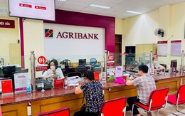 Lãi suất ngân hàng Agribank mới nhất tháng 12/2024: Tăng mạnh lên mức cao nhất nhóm Big4