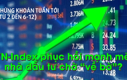 Chứng khoán tuần tới (từ 2 đến 6-12): VN-Index phục hồi mạnh mẽ, nhà đầu tư sắp "về bờ"?