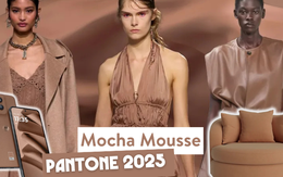 789bet sắc của năm 2025 - Mocha Mousse xuất hiện trong đời sống như thế nào?