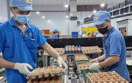 Doanh nghiệp TP.HCM tất bật lo hàng Tết, dồn lực chờ bùng nổ mua bán tháng Chạp