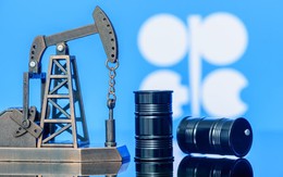 Giá thấp, nhu cầu ảm đạm, OPEC+ hoãn tăng sản lượng dầu