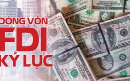 Dòng vốn FDI kỷ lục chảy vào Việt Nam ra sao?