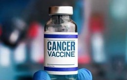 Cách vaccine ung thư của Nga hoạt động trên cơ thể người