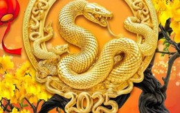 3 con giáp sẽ có nhiều thay đổi trong năm Ất Tỵ 2025: Nắm bắt tốt thì tiền tiêu không hết