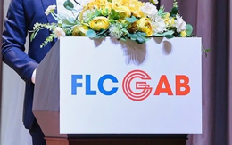 FLC GAB thay cả Chủ tịch và CEO trong một tháng