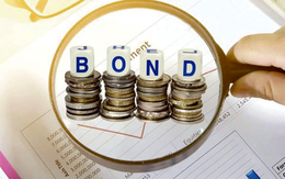 Vinhomes có kế hoạch phát hành tối đa 6.500 tỷ đồng trái phiếu