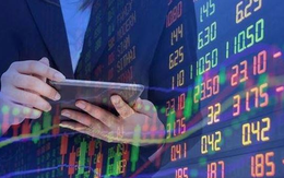 Một cổ phiếu ngân hàng ngược dòng tăng lịch sử