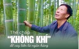 Nhận 1,2 tỷ dù không cần thế chấp nhà, xe: Cách đầu tư mới khiến nhiều người bất ngờ