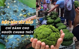 Món ăn được mệnh danh “chỉ dành cho người chung thủy”, cả năm mới có một mùa ở Tây Bắc khiến dân tình háo hức muốn thử