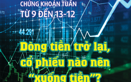 Chứng khoán tuần tới (từ 9 đến 13-12): Dòng tiền trở lại, cổ phiếu nào nên "xuống tiền"?