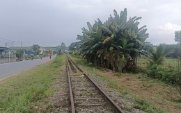 VIDEO: Tuyến đường sắt dài 32 km bỏ hoang suốt 12 năm