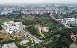 Đấu giá khu đất 4,4 ha làm khu nhà ở thấp tầng ở phường đông dân nhất Thủ đô