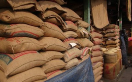 7 doanh nghiệp Việt vừa trúng gói thầu lớn 500.000 tấn gạo của Indonesia