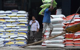 Thị trường nông sản thế giới: Giá gạo Ấn Độ tăng kỷ lục tuần thứ tư liên tiếp