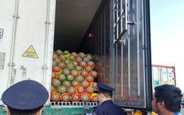 Gần 800 tấn nông sản Việt xuất Trung Quốc ngày mùng 1 Tết