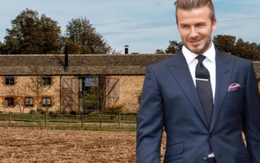 David Beckham nghẹn ngào đăng ảnh khoe với cả gia đình khi phát hiện ra một vật ở phía sau căn hộ 370 tỷ