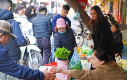 Rau xanh, thực phẩm dồi dào, không tăng giá dịp Tết