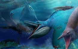 5 loài khủng khiếp nhất của "đại dương quái vật" vừa lộ diện