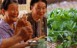 Loại lá bán đầy chợ Việt được người Nhật chuộng, có trong chế độ ăn giúp sống lâu 100 tuổi: Bổ máu, tiêu hóa khỏe