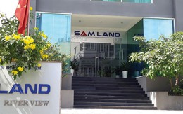 Samland và 2 doanh nghiệp khác bị xử phạt vì 'ém' báo cáo tài chính