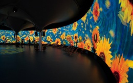 Triển lãm nghệ thuật Van Gogh gây bất ngờ với Van Gogh Immersive 720