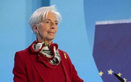 Ngân hàng Trung ương Châu Âu ghi nhận khoản lỗ đầu tiên sau 20 năm
