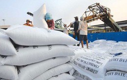 Giá gạo Việt Nam mất vị trí cao nhất thế giới