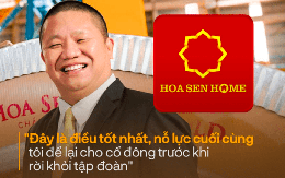 Chuỗi siêu thị VLXD Hoa Sen Home: Giấc mơ 2 tỷ USD, nỗ lực cuối cùng của ông Lê Phước Vũ trước khi rời Tập đoàn