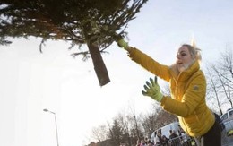 Thắng cuộc thi ném cây, người phụ nữ 'trượt' khoản tiền bảo hiểm 20 tỷ đồng