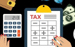 Miễn thuế thu nhập doanh nghiệp và thuế thu nhập cá nhân trên địa bàn TP.HCM
